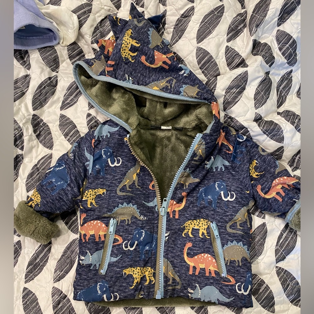 Fleece Lined 12M Dino coat